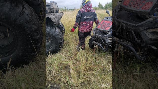 Линхай ямаха и сокол