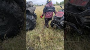 Линхай ямаха и сокол