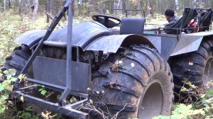 ДЕЛА ЛЕСНЫЕ, сбор чаги, солонец, фотоловушка, каракат, металло коп.