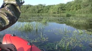 На рыбалку с ночёвкой, СПАСЛИ ИЗ БРАКОНЬЕРСКИХ СЕТЕЙ УТОЧКУ увидели ВЫХОД ЛЕЩА!