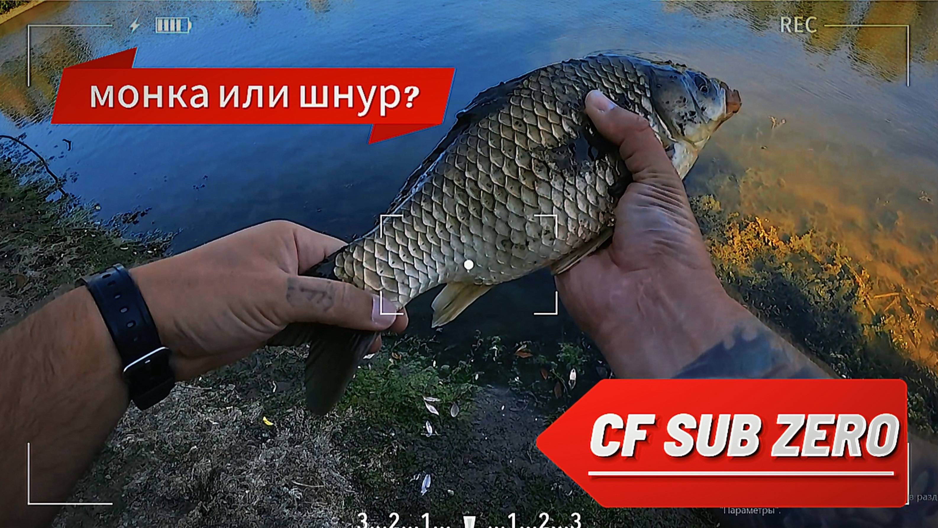 МОРМЫШИНГ | МОНОЛЕСКА ИЛИ ШНУР | CF SUB ZERO смотреть онлайн