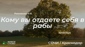 15.09.2024 | Краснодар | Кому вы отдаете себя в рабы - Римлянам 6:16 | Церковь "Живое Слово"