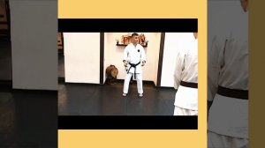 Специфика перемещений в Годзю рю Каратэ❗️