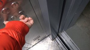 Грузопассажирский, пассажирский лифт V=1 м-с, Q=400, 630 кг (4078), музыкальные лифты Wellmaks