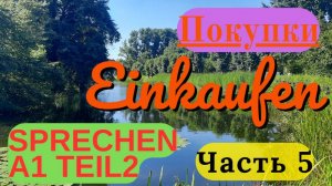 Ходить за покупками Делать покупки Часть 5 Тема Einkaufen на экзамене А1 по немецкому языку Sprechen