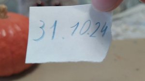 новости от басика