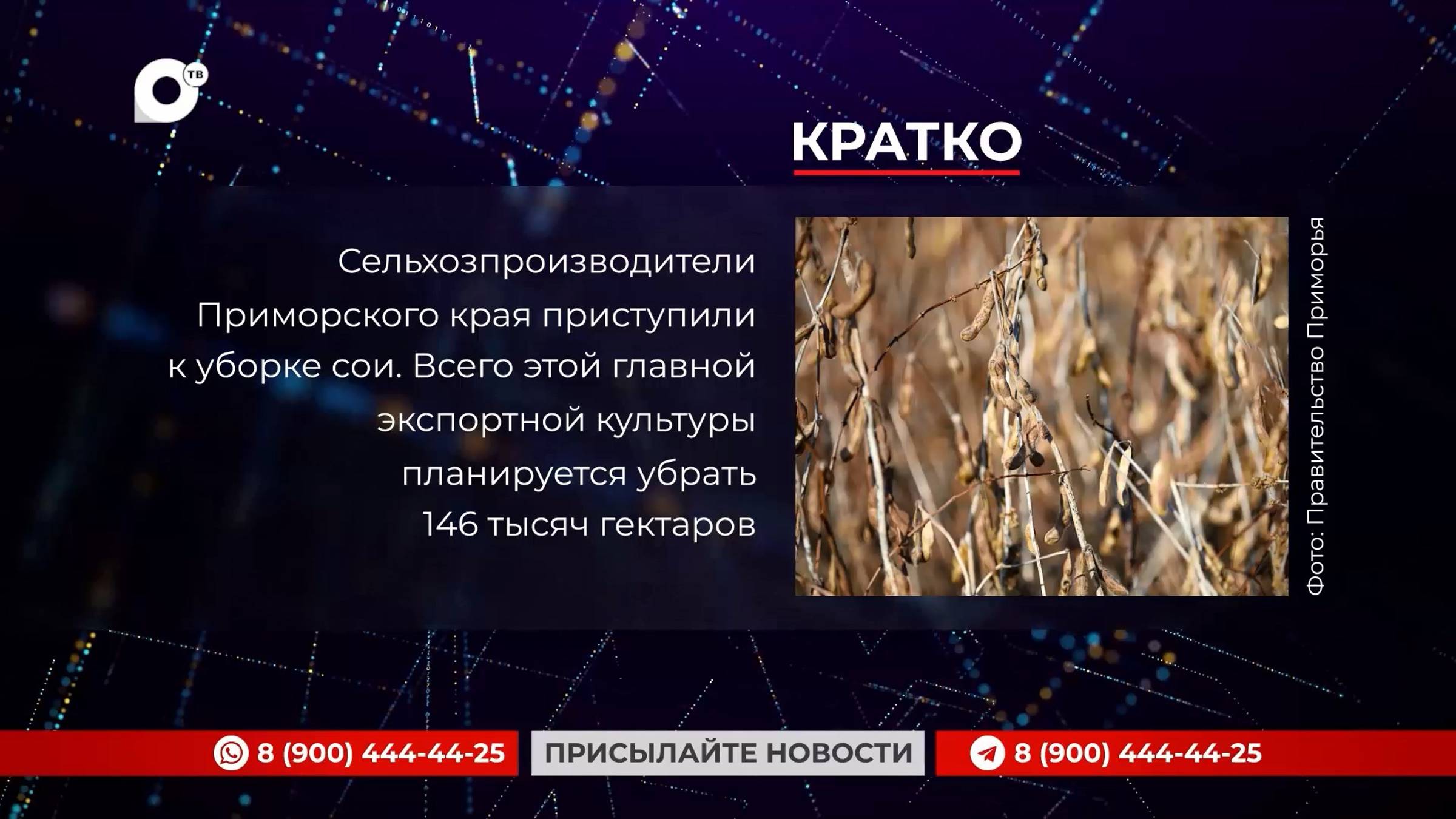 Кратко / 25.09.24 / Вечер