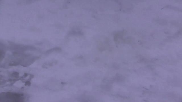 ВЕЧЕРНЯЯ ЗИМНЯЯ РЫБАЛКА! Рыбалка ЯНВАРЬ 2020