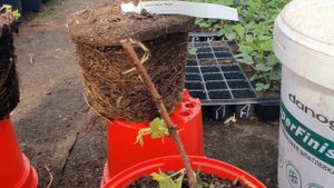 Распаковка очередной посылки с Европы.