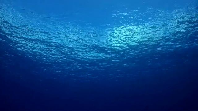 Horse whisperer Monty Roberts tells of friendship with Queen смотреть онлайн