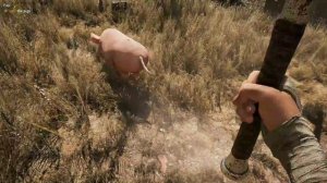 FAST homeopathic mission | Far Cry 5