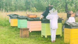 Традиции и преемственность в современной деревне. Делаем по зову души и по мере возможностей.