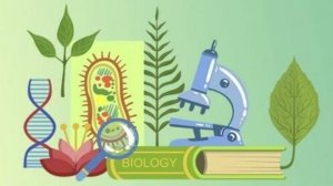 Биология 9 класс. Биосфера. Среды жизни. 1. --