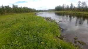 Поход за хариусом. Рыбалка на трёх реках. Часть 2.