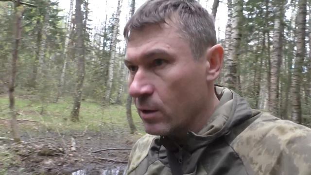 ИДУ В ГЛУБЬ ЛЕСА ПО ГРИБЫ! Красивая природа И ГРИБЫ!