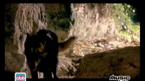 David Vendetta feat. Rachael Starr - "Bleeding Heart"