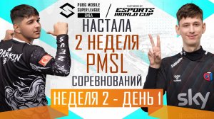 [RU] 2024 PMSL EMEA Н2Д1 | Осенний сезон