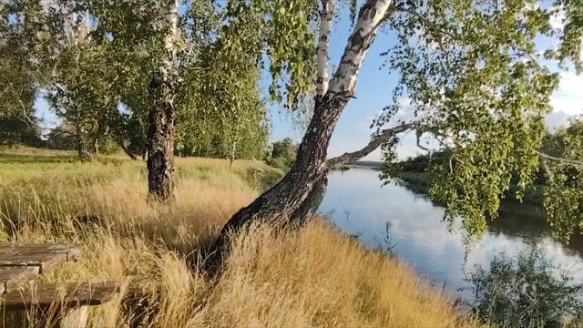 Березы или русский романс.