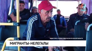 Мигранты-нелегалы