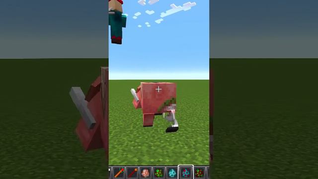 Zoglin vs Charging Garden Gnome in Minecraft