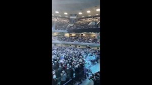 Stjepan Hauser And Luka Sulic 2Cellos Last Moments At Tokyo Japan 2022