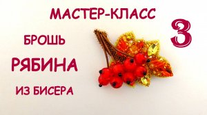 Брошь Рябина из бисера. Мастер-класс. 3 часть. Обшиваем брошь бисером.