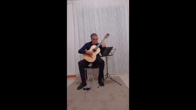 Goffredo Petrassi - Suoni notturni | Guitar Arturo Tallini - Final смотреть онлайн