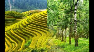 Александр Кошевец - Любовь на бис (демо 2014)