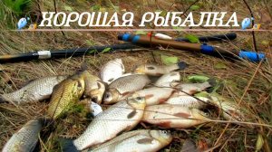 КАРАСЬ НА ПОПЛАВОЧНУЮ УДОЧКУ В СЕНТЯБРЕ!