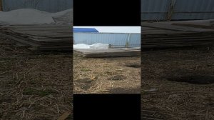 Купили дачу