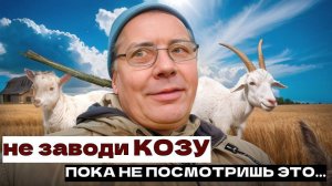 Совет бывалого фермера: 🤠 не заводи даже одну козу, 🐐 если не хочешь стадо! 🐐🐐🐐 #МоеПодворье