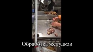 Установка контроля снятия кутикулы. ИТЕКА