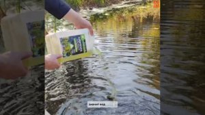 ♻️ Во Владимире провели заливку суспензии хлореллы в водоемы.