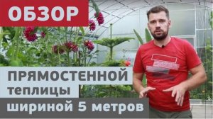 Красивая теплица павильон / Прямостенная ширина 5 метров