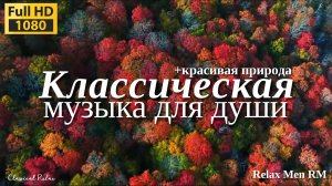 Классическая музыка для Души🌿 Нежная музыка успокаивает нервную систему 22