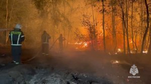 Площадь пожара в районе Ямного составляет порядка 20 гектаров