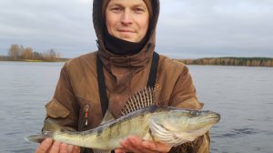 Рыбалка осенью на спиннинг.Жор щуки осенью.Судак на воблер.Много поклёвок щуки.#рыбалка