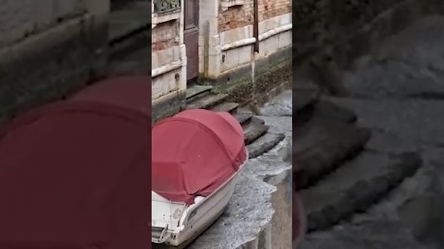 Каналы Венеции обмелели, а там такое! смотреть онлайн