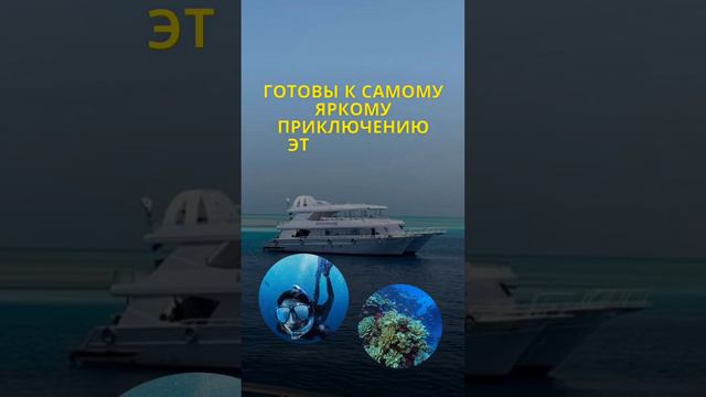 Авторские сафари - круизы на яхтах, Мальдивы и Египет