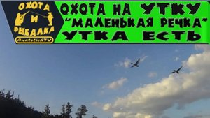 Охота на утку!  Маленькая речка- утка есть.