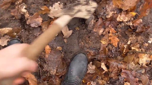 В ОКТЯБРЕ С МЕТАЛЛОИСКАТЕЛЕМ ПО ГРИБЫ! ЕСТЬ НАХОДКИ!