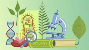 Биологис 9 класс. Критерии вида. --