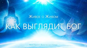 Живое о Живом - Как выглядит Бог