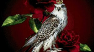 Королевский сокол. Итальянская сказка. Сказки народов Европы.