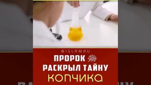 Тайна копчика