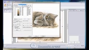 Сравнение PE-Design 10.2 и PE-Design 9.13 , фотостежок.