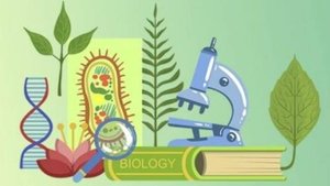 Биология 9 класс. Дигибридное  скрещивание.--