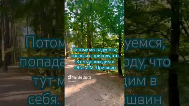 🍃 Леса,так же,как озера, моря,реки-лучшее украшение земли,ее великолепный праздничный наряд🍁