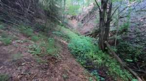 Тропинка к Роднику Гремучий