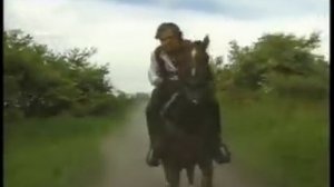 manuel mijares corazon salvaje